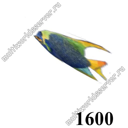 Животные: объект 1600