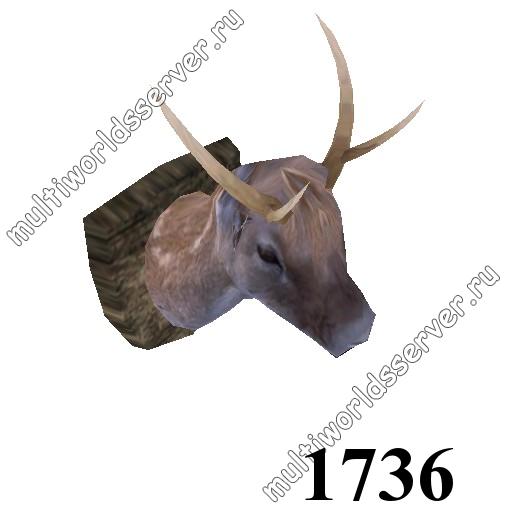 Животные: объект 1736