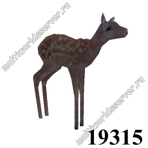 Животные: объект 19315