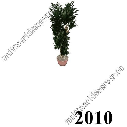 Растения в вазонах: объект 2010