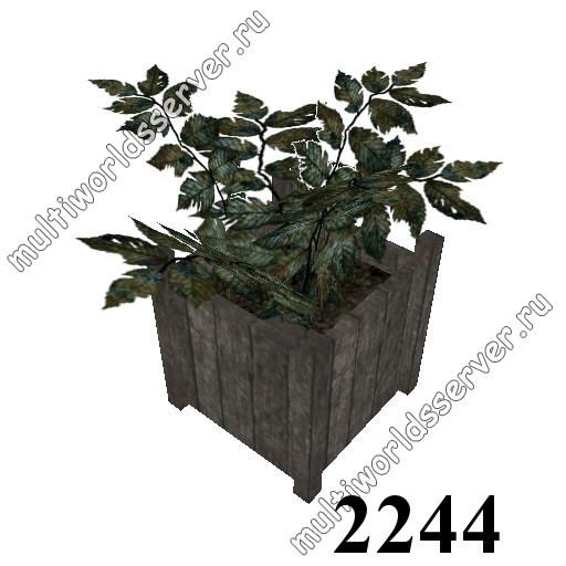 Растения в вазонах: объект 2244