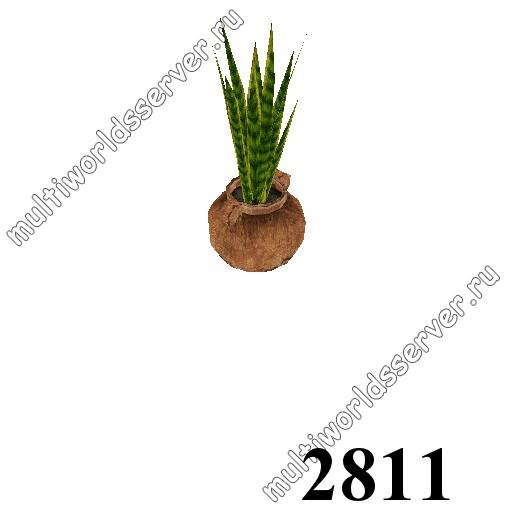 Растения в вазонах: объект 2811