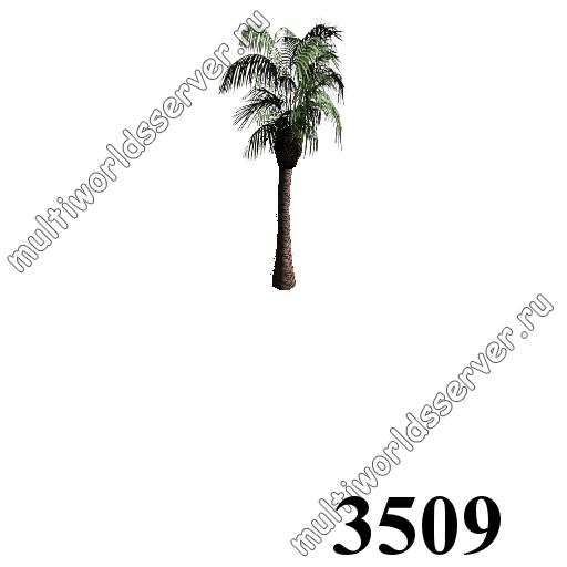 Деревья: объект 3509