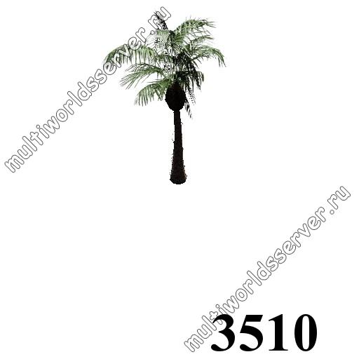 Деревья: объект 3510