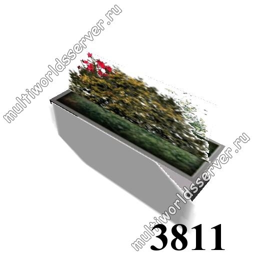 Растения в вазонах: объект 3811