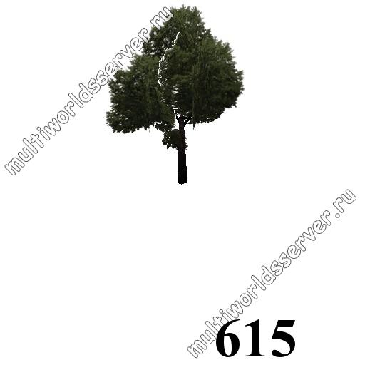 Деревья: объект 615