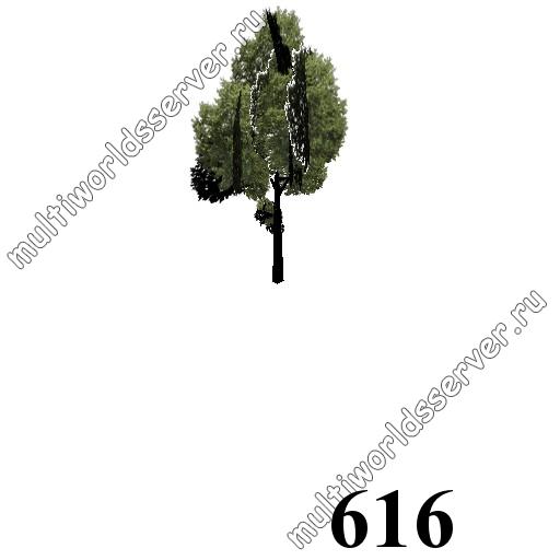 Деревья: объект 616