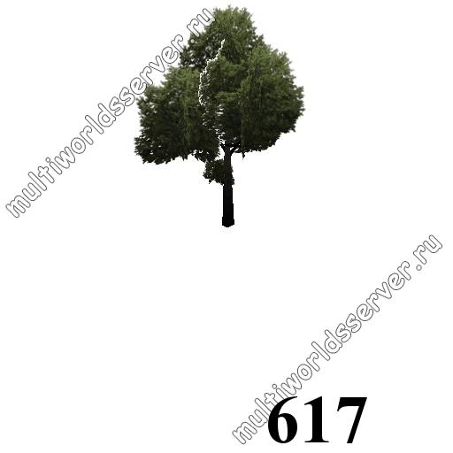 Деревья: объект 617