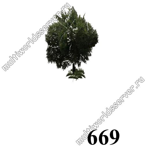 Деревья: объект 669