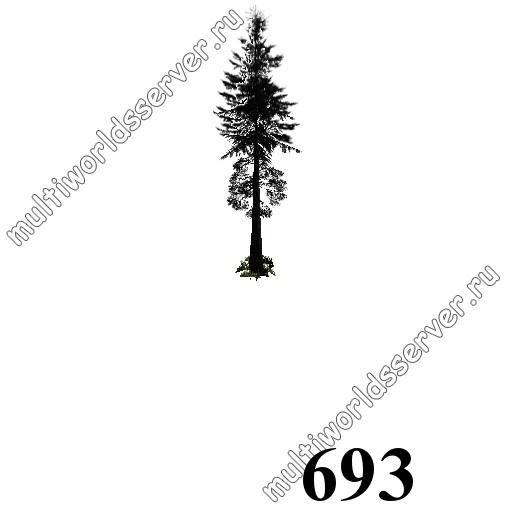 Деревья: объект 693