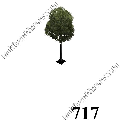 Деревья: объект 717