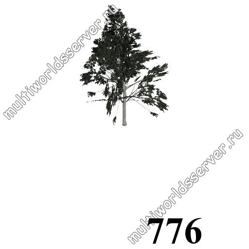 Деревья: объект 776