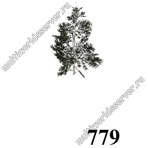 Деревья: объект 779