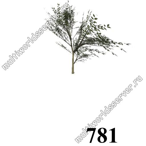 Деревья: объект 781
