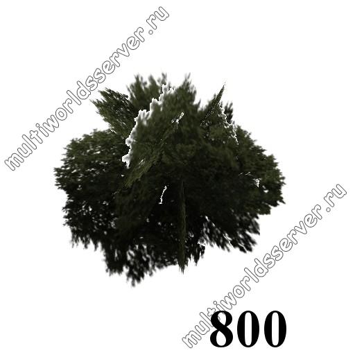 Травы, кусты и прочее: объект 800