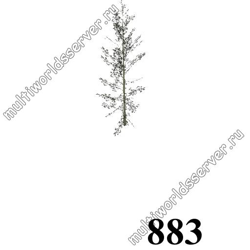 Деревья: объект 883