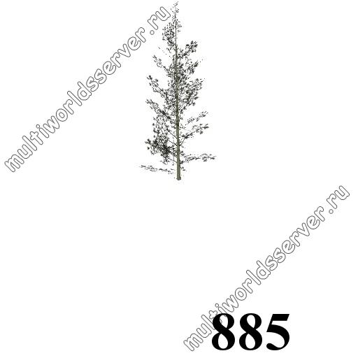Деревья: объект 885