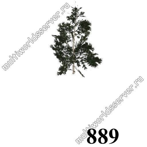 Деревья: объект 889