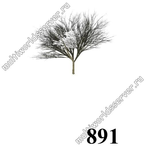 Деревья: объект 891