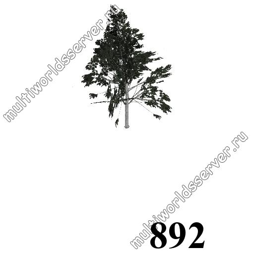 Деревья: объект 892