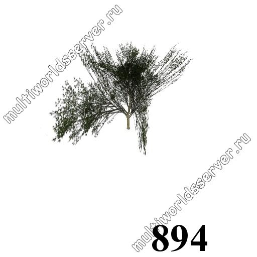 Деревья: объект 894