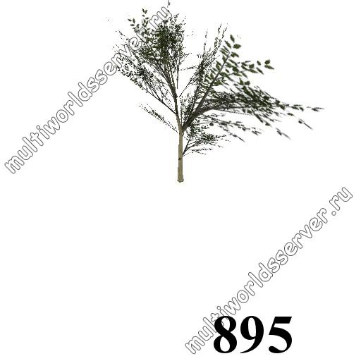 Деревья: объект 895